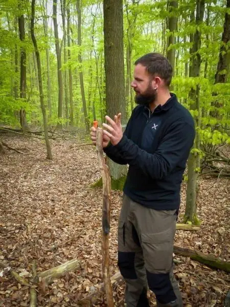 Person hält einen Stock und zeigt mit den Händen im Wald