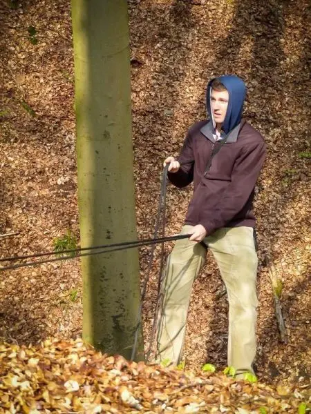 Person zieht an einem Seil neben einem Baum