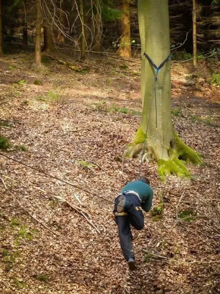 Person zieht Seil zu einem Baum im Wald