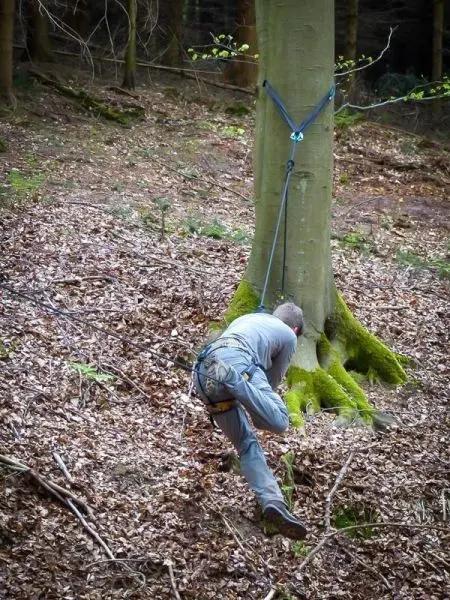 Seilquerung an einem Baumstamm mit Sicherungsseil und Kletterausrüstung