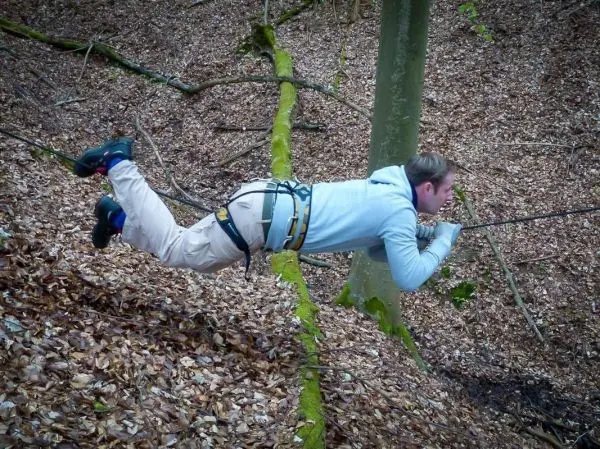 Seilquerung mit Sicherheitsgurt über Laubboden in einem Waldgebiet