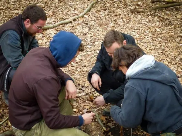 Vier Personen arbeiten gemeinsam am Boden mit Ästen im Laubwald