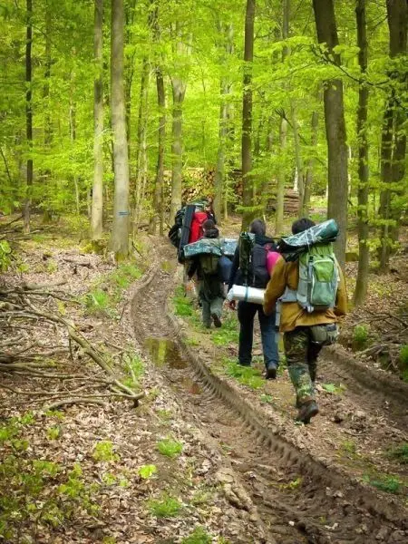 Wanderer mit Rucksäcken folgen einem schmalen Waldweg zwischen Bäumen