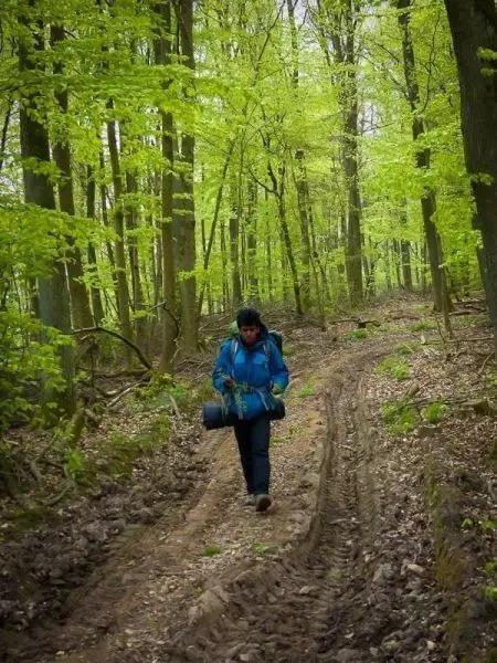 Wanderer trägt Rucksack und geht einen Waldweg entlang
