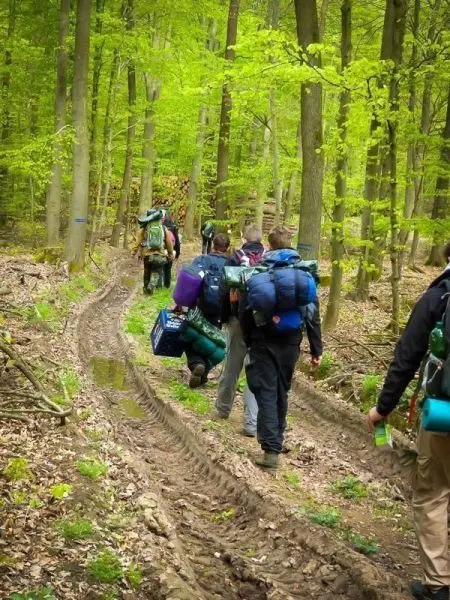 Wandernde Personen mit Rucksäcken folgen einem schmalen Waldweg