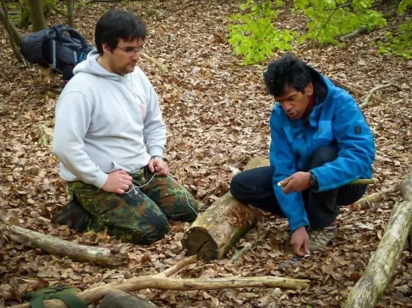 Zwei Personen knien auf Laub und untersuchen einen Holzstamm im Wald