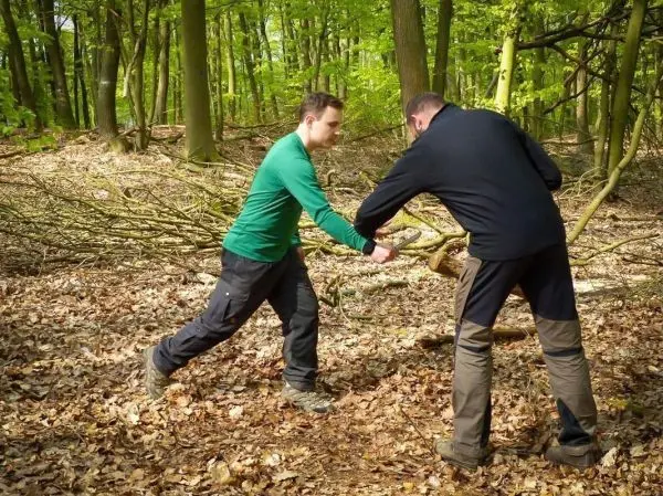 Zwei Personen ziehen an einem dicken Ast im Wald