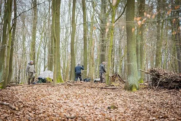 Drei Personen arbeiten im Wald an einer Holzstruktur und sammeln Materialien
