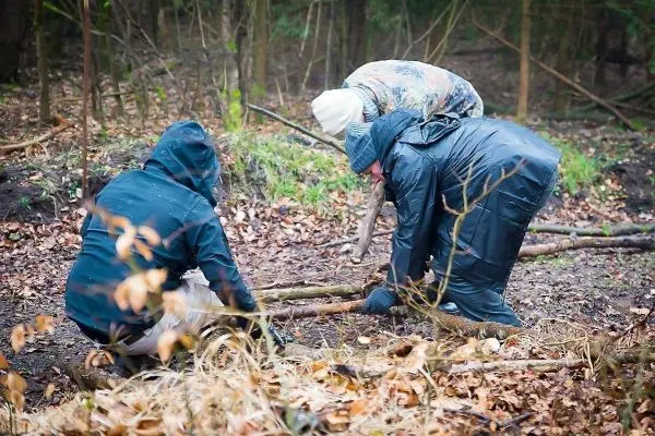 Drei Personen sammeln Äste und Holzstücke im Wald