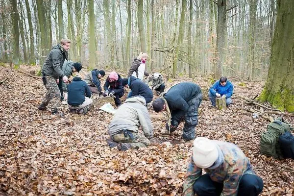 Gruppierung arbeitet am Boden im Laub, möglicherweise zur Nahrungsbeschaffung oder Konstruktion