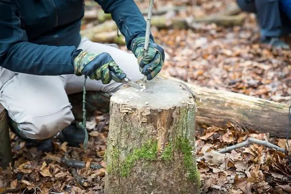 Messer schneidet in einen Baumstumpf im Wald