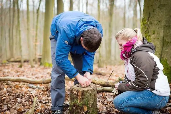 Person schnitzt an einem Baumstumpf im Wald