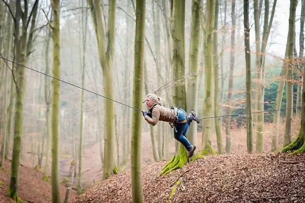 Person schwingt an Seil zwischen Bäumen im Wald