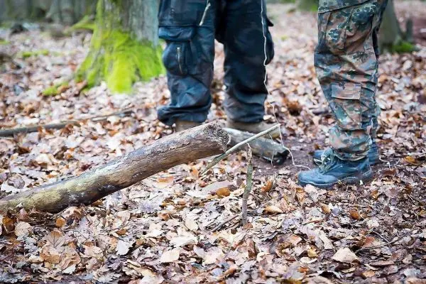 Schlagfalle (Figure-Four) aus Holzstücken im Laubboden aufgebaut