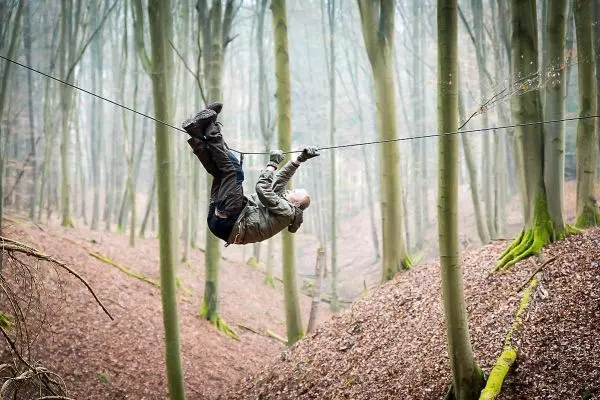 Seilquerung über einen bewaldeten Hang mit Laub