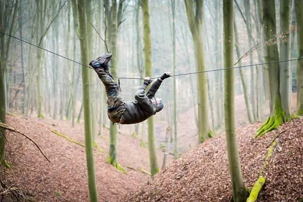 Seilquerung über einen Waldweg mit Laub und Bäumen im Hintergrund