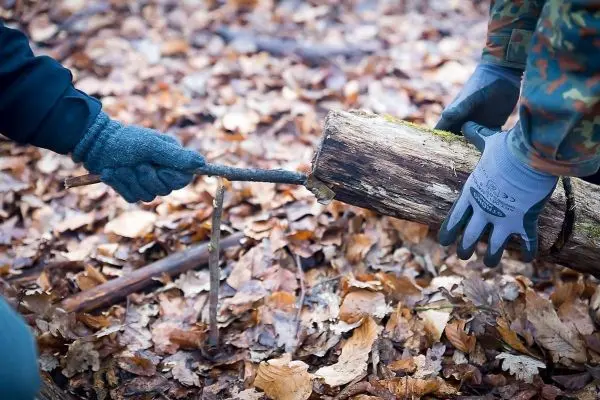 Zwei Hände halten einen Stock und einen Holzstamm auf Laubboden