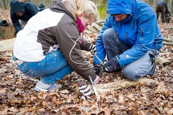 Zwei Personen bearbeiten einen Holzstock auf dem Boden im Laub