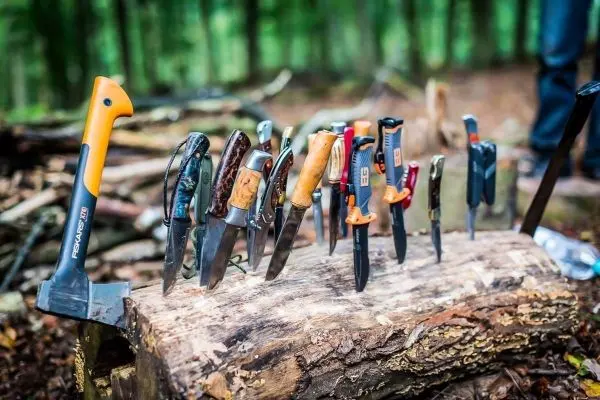 Axt und verschiedene Messer stehen auf einem Holzstamm im Wald