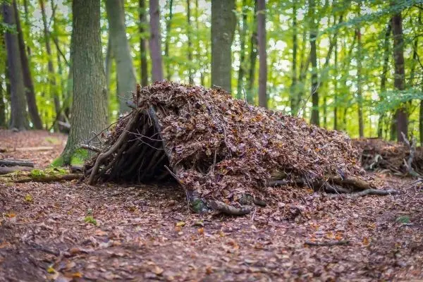 Improvisierte Laubhütte aus Ästen und Blättern im Wald