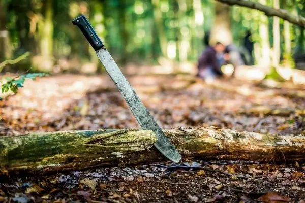 Machete steckt in einem Baumstamm im Wald