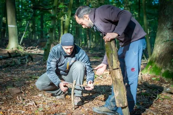 Zwei Personen untersuchen Äste im Wald beim Überlebenstraining
