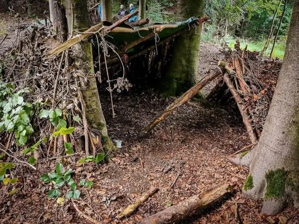 Bau aus Ästen und Blättern zwischen Bäumen im Wald