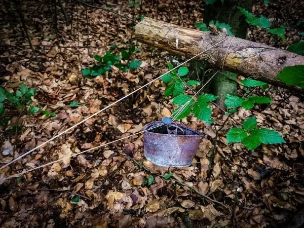 Eimer hängt an einem Ast, umgeben von Laub und Pflanzen