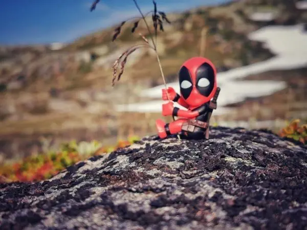 Figur auf einem Stein in einer Landschaft mit Pflanzen und Schnee