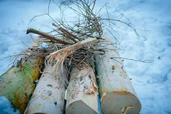 Holzstämme mit Zunder und kleinen Ästen auf Schnee angeordnet