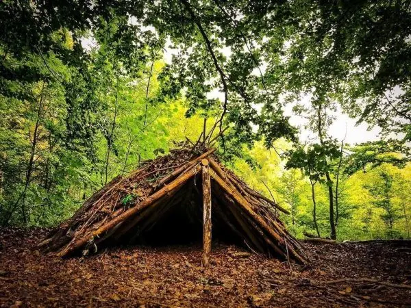 Hütte aus Ästen im Wald, umgeben von Bäumen