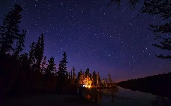 Sternenhimmel über einem ruhigen Gewässer mit beleuchtetem Wald im Vordergrund