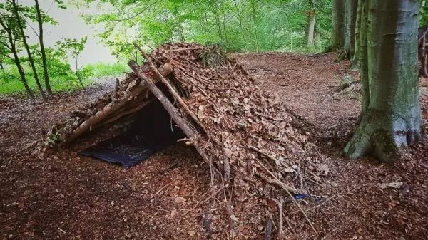 Tarp-Notunterkunft aus Ästen und Blättern im Wald