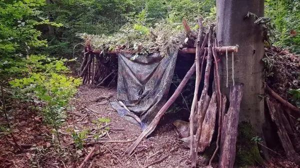 Tarp-Notunterkunft aus Ästen und Laub neben einem Baum im Wald