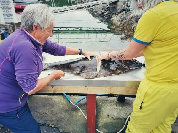Zwei Personen filetieren einen großen Fisch auf einem Tisch am Wasser