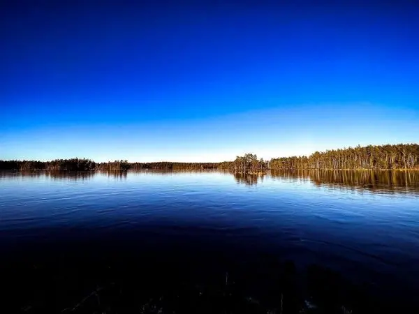 Blick auf ruhiges Wasser mit bewaldetem Ufer und klarem Himmel