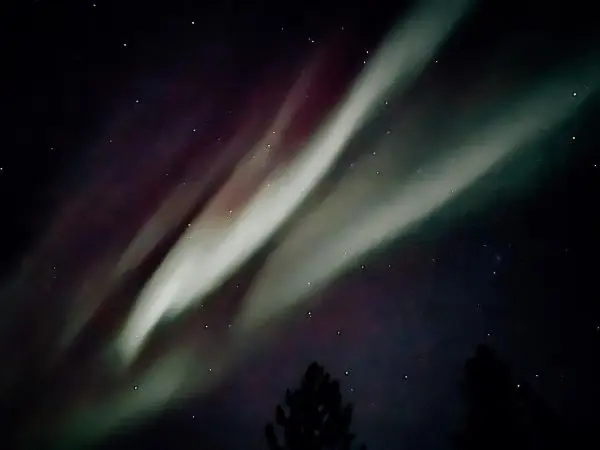 Farbenfrohe Lichtstreifen am Nachthimmel mit Sternen und Silhouetten von Bäumen