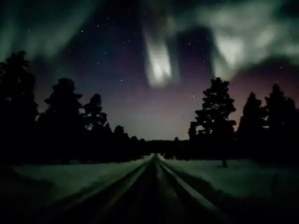 Schneebedeckte Straße zwischen dunklen Silhouetten von Bäumen unter einem sternenklaren Himmel
