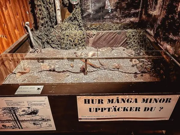 Modell mit verschiedenen Minen in einer Vitrine, umgeben von Tarnmaterial