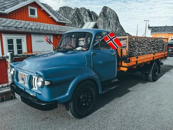 Blauer Lkw mit Holzladung und norwegischer Flagge vor einem Holzhaus