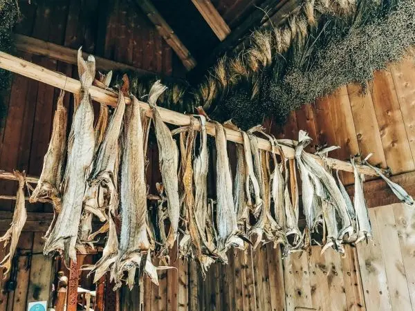 Getrockneter Fisch hängt an einem Holzgestell in einer Holzhütte