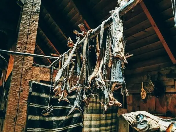 Trockenfisch hängt an einem Balken, umgeben von Decken und Holzstrukturen