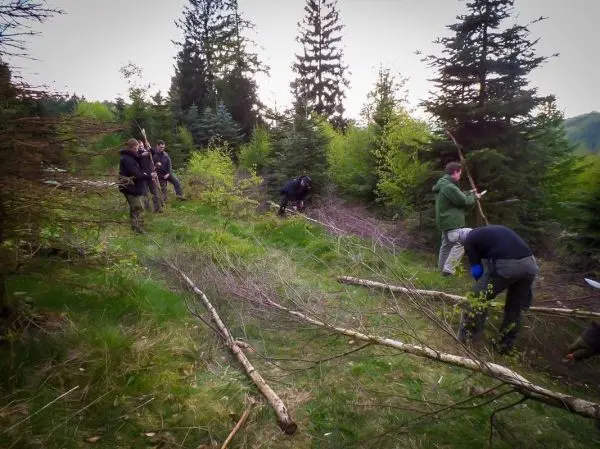 Gruppe arbeitet im Wald und sammelt Äste für eine Konstruktion