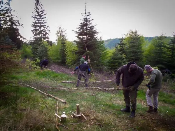 Mehrere Personen arbeiten im Wald und sammeln Äste für eine Konstruktion