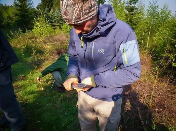 Person hält ein Messer und bearbeitet einen Stock im Wald