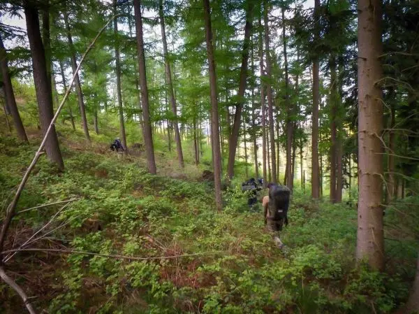 Personen wandern mit Rucksäcken durch einen Wald