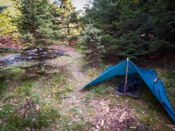 Tarp-Notunterkunft aus blauer Plane mit Stütze zwischen Bäumen im Wald