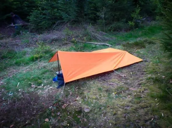 Tarp-Notunterkunft in orange, mit Abspannschnur im Wald aufgestellt