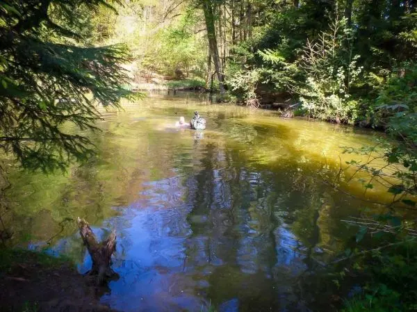 Zwei Personen schwimmen in einem klaren Gewässer umgeben von Bäumen