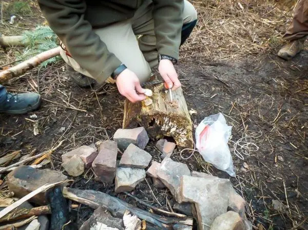 Hände bereiten Zunder in einem Holzstück vor, um ein Feuer zu entfachen